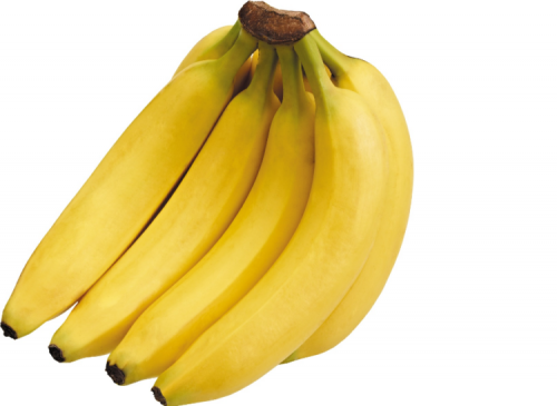 kargoku.id - pisang canvendish