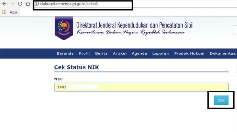 Cara Cek Status NIK E-KTP Online dengan Cepat dan Mudah